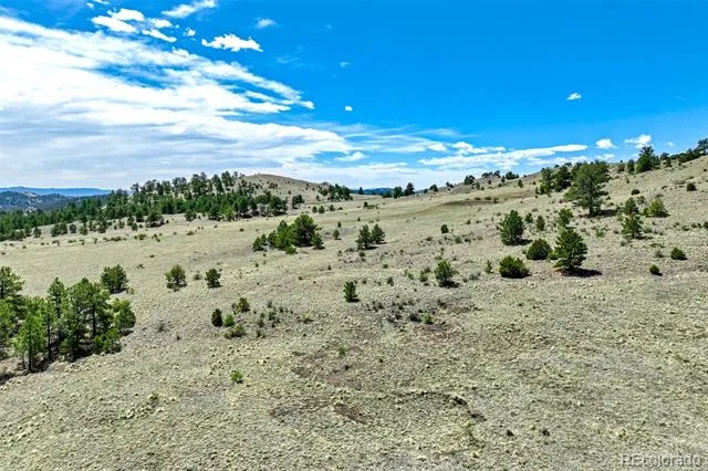 0 Roan Trail Guffey, CO 80820