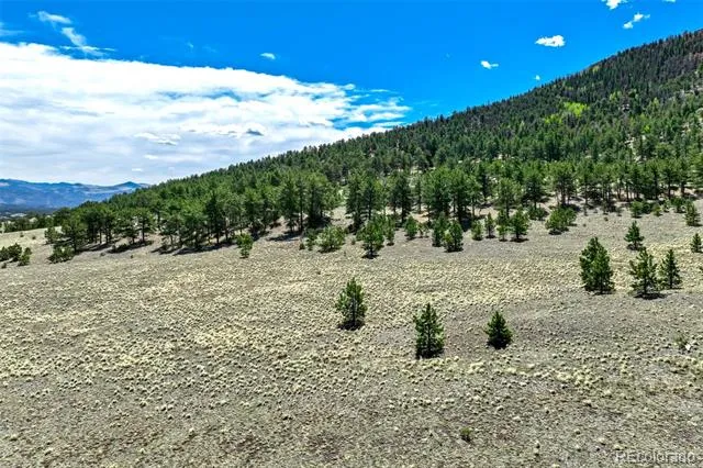 0 Roan Trail Guffey, CO 80820
