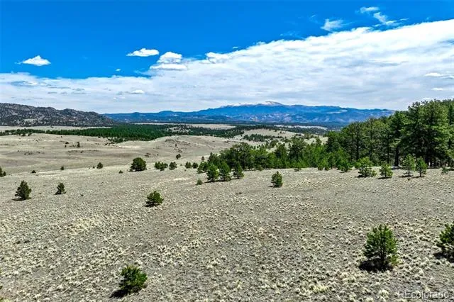 0 Roan Trail Guffey, CO 80820