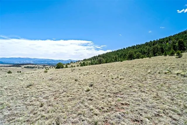 0 Roan Trail Guffey, CO 80820