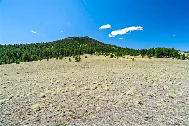 0 Roan Trail Guffey, CO 80820