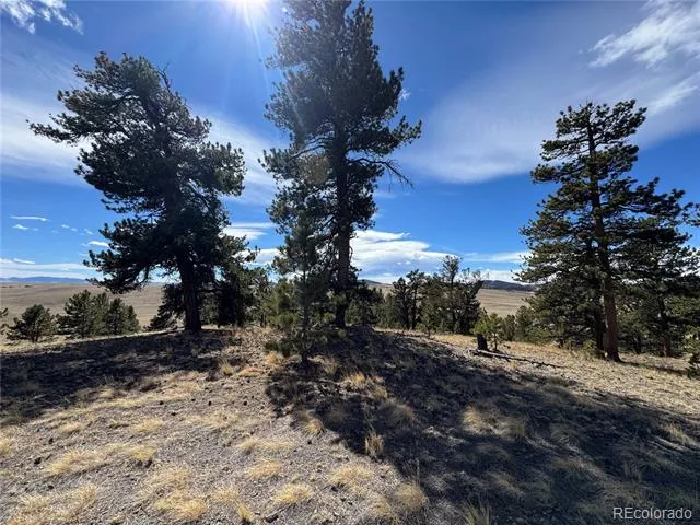 62 Powder Way Jefferson, CO 80456
