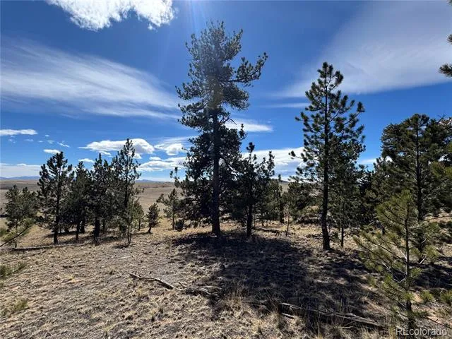 62 Powder Way Jefferson, CO 80456