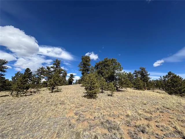 62 Powder Way Jefferson, CO 80456