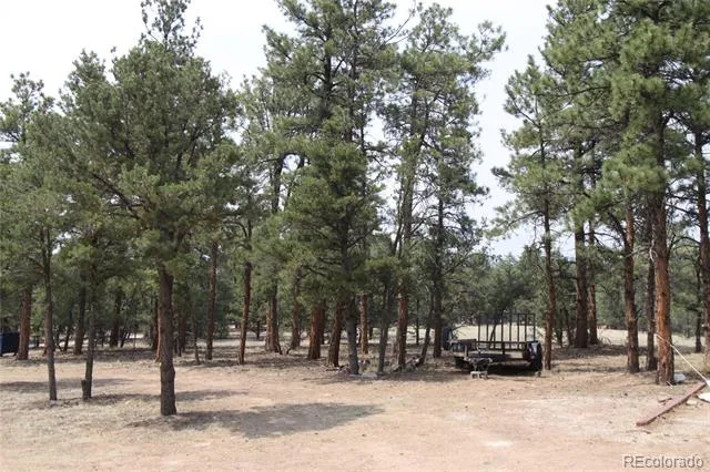 938 18th Trail Cotopaxi, CO 81223