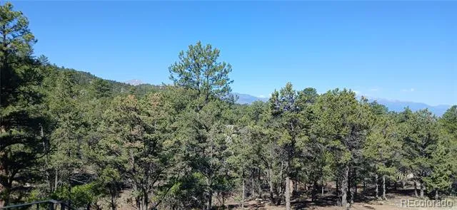 938 18th Trail Cotopaxi, CO 81223