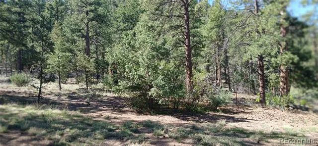 938 18th Trail Cotopaxi, CO 81223