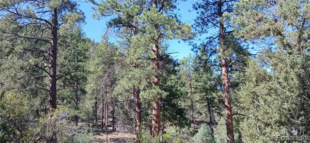 938 18th Trail Cotopaxi, CO 81223