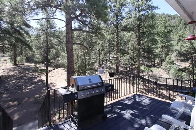 938 18th Trail Cotopaxi, CO 81223