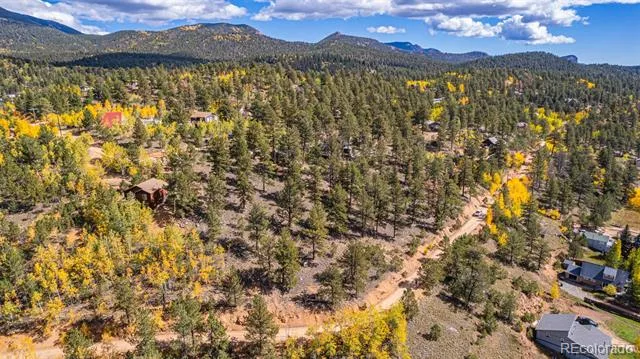 103 Gross Road Bailey, CO 80421