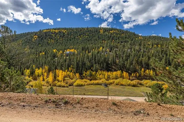 103 Gross Road Bailey, CO 80421