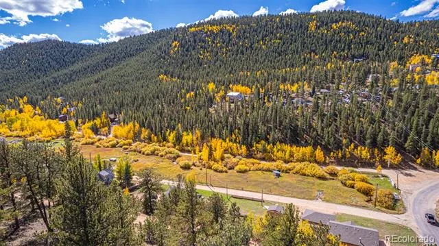 103 Gross Road Bailey, CO 80421