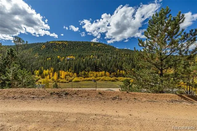 103 Gross Road Bailey, CO 80421