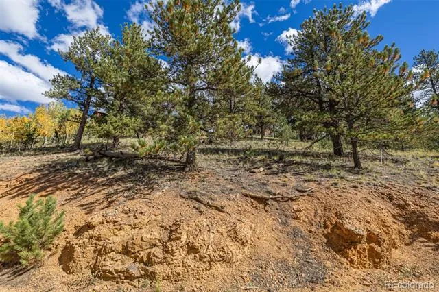 103 Gross Road Bailey, CO 80421