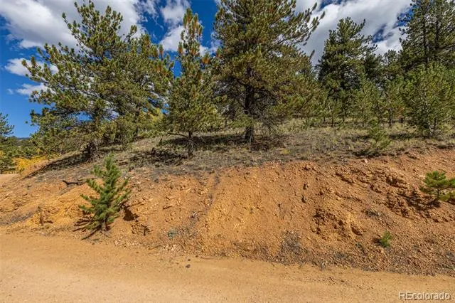 103 Gross Road Bailey, CO 80421