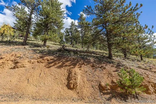 103 Gross Road Bailey, CO 80421