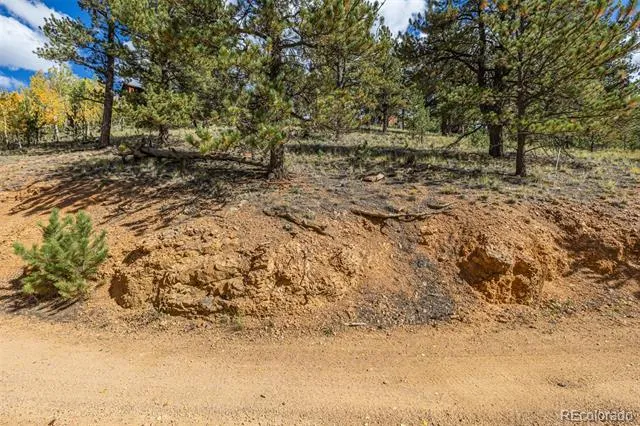 103 Gross Road Bailey, CO 80421