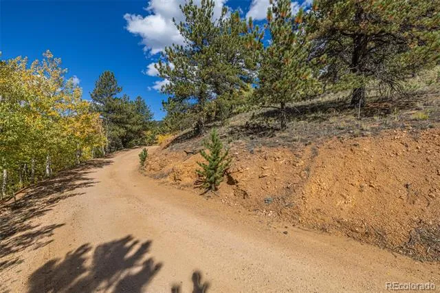 103 Gross Road Bailey, CO 80421