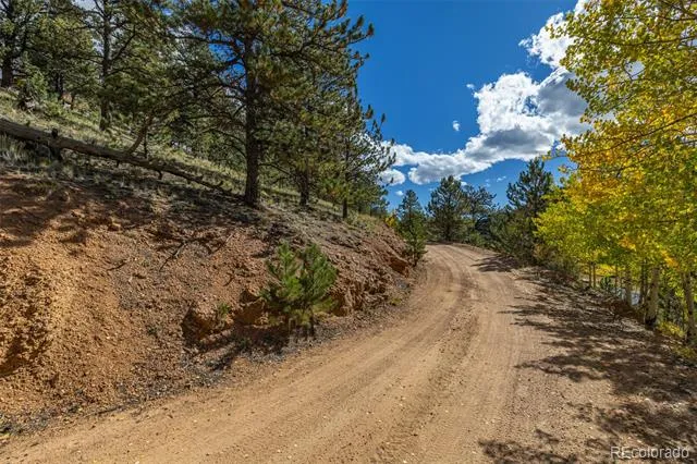 103 Gross Road Bailey, CO 80421