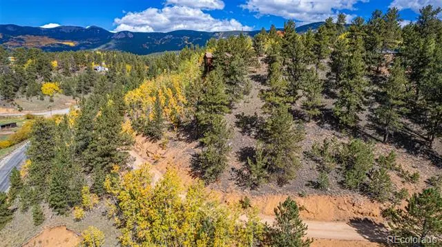 103 Gross Road Bailey, CO 80421