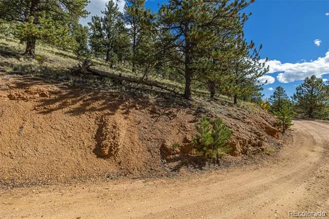 103 Gross Road Bailey, CO 80421