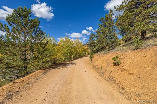 103 Gross Road Bailey, CO 80421