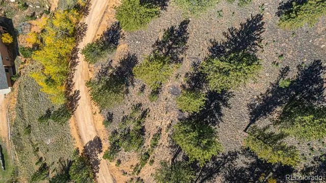 103 Gross Road Bailey, CO 80421