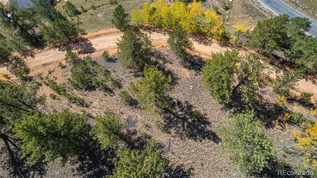 103 Gross Road Bailey, CO 80421