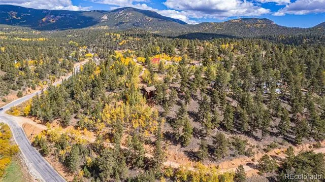 103 Gross Road Bailey, CO 80421