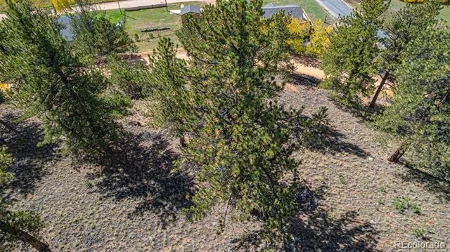 103 Gross Road Bailey, CO 80421