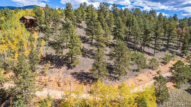 103 Gross Road Bailey, CO 80421