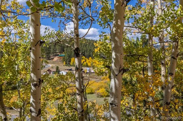 103 Gross Road Bailey, CO 80421