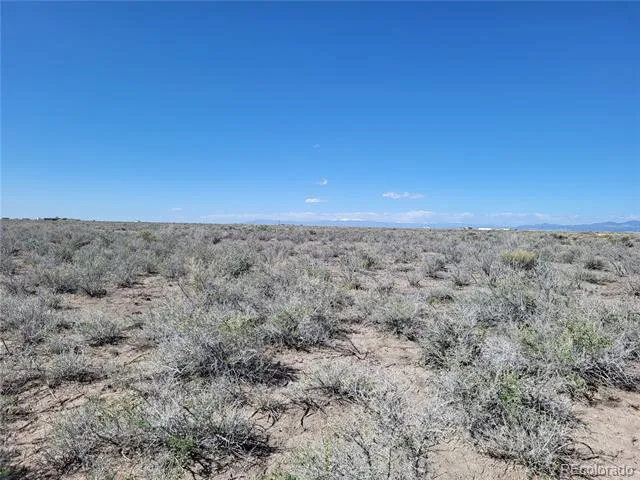 Highway 17 Moffat, CO 81143