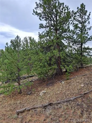 639 Spade Place Jefferson, CO 80456