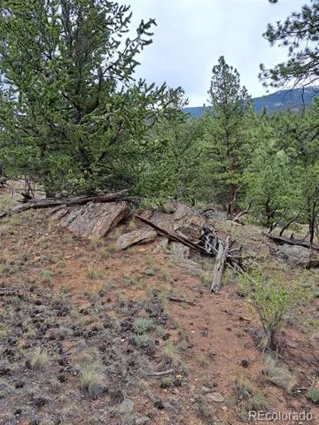 639 Spade Place Jefferson, CO 80456