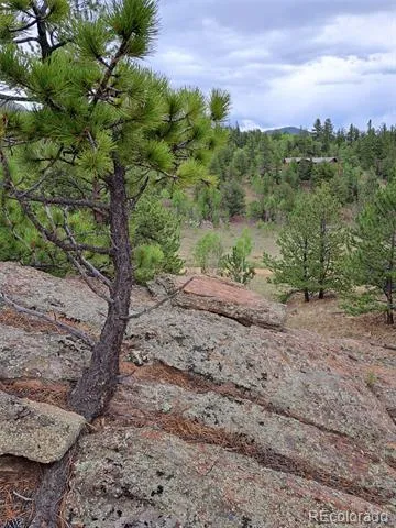 639 Spade Place Jefferson, CO 80456