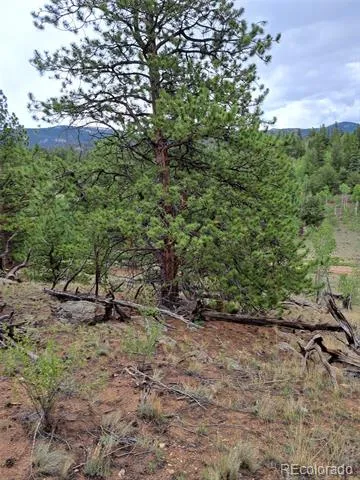 639 Spade Place Jefferson, CO 80456