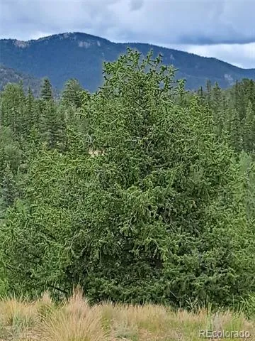 639 Spade Place Jefferson, CO 80456