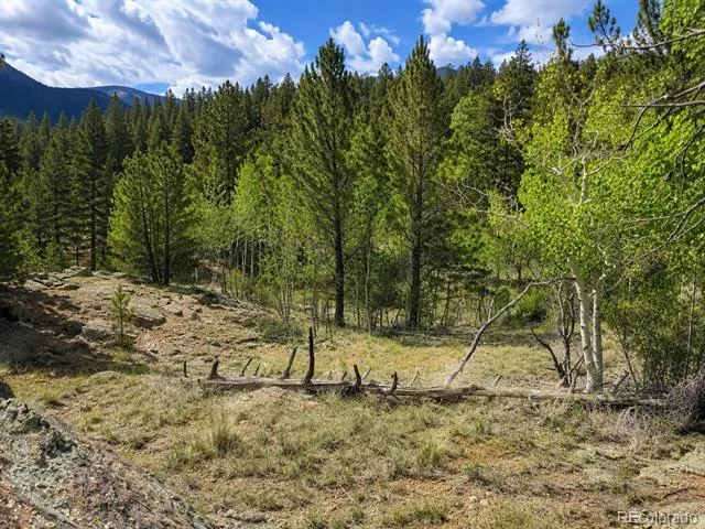 639 Spade Place Jefferson, CO 80456