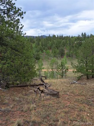 639 Spade Place Jefferson, CO 80456