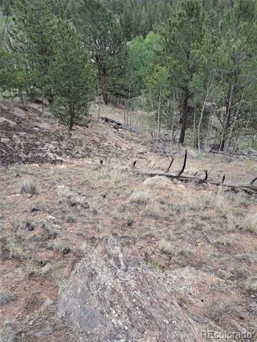 639 Spade Place Jefferson, CO 80456