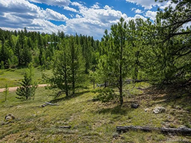 639 Spade Place Jefferson, CO 80456
