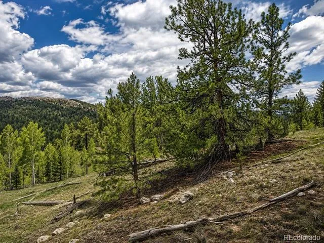 639 Spade Place Jefferson, CO 80456
