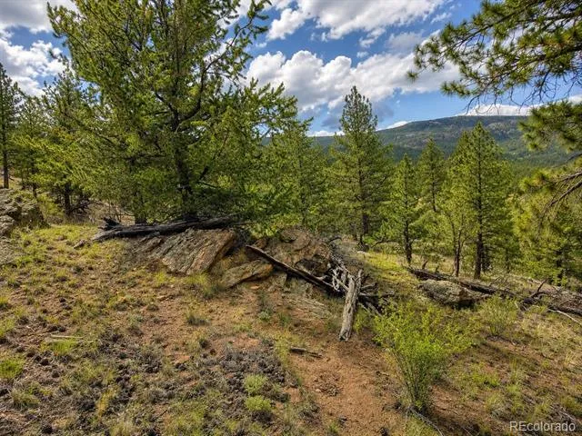639 Spade Place Jefferson, CO 80456