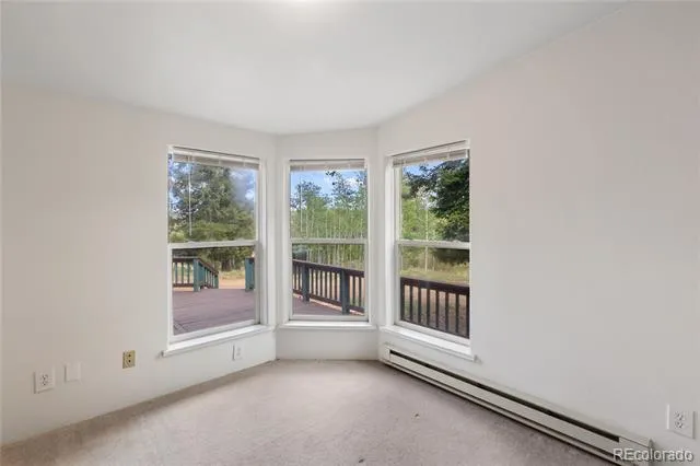 350 Brooks Lane Woodland Park, CO 80863