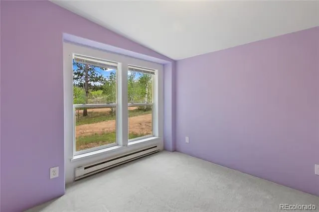 350 Brooks Lane Woodland Park, CO 80863