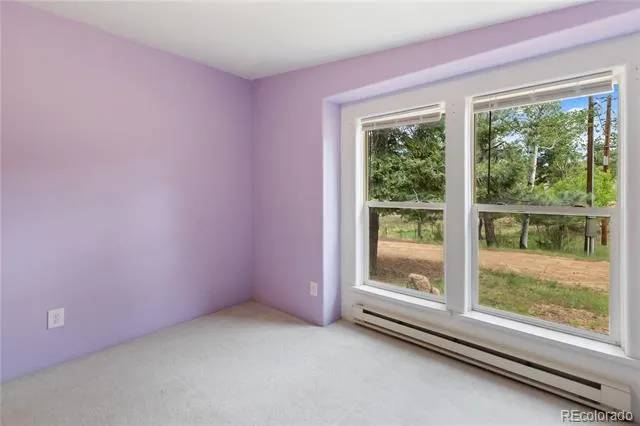 350 Brooks Lane Woodland Park, CO 80863
