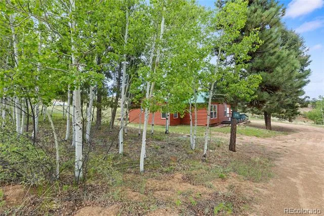 350 Brooks Lane Woodland Park, CO 80863