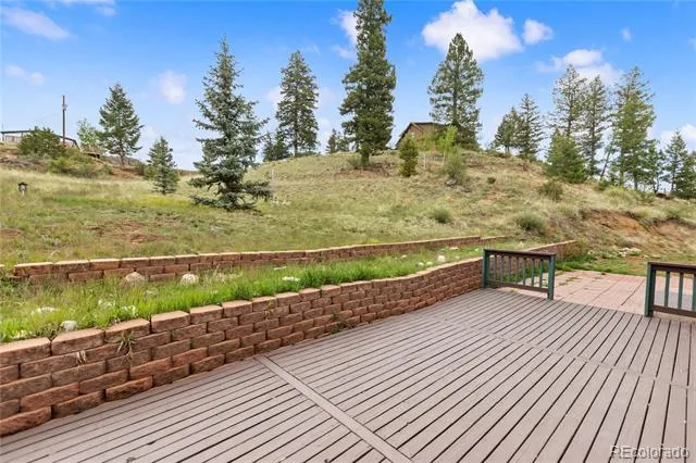 350 Brooks Lane Woodland Park, CO 80863