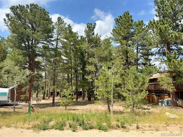 655 W Spruce Street Nederland, CO 80466